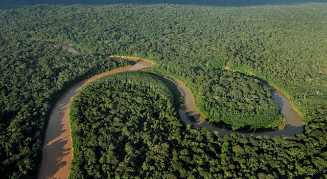Geography Trivia Question: Whilst the Amazon is the world's largest tropical rainforest, what is the second largest?