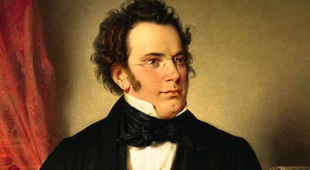 Cultura Domande: Chi era Franz Schubert?