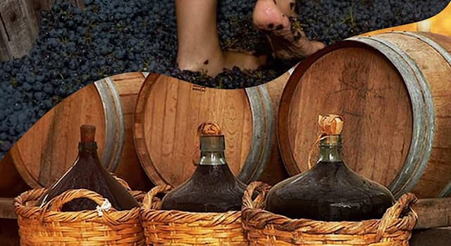 Sociedad Pregunta Trivia: ¿De qué país es originaria la bebida llamada cachina?