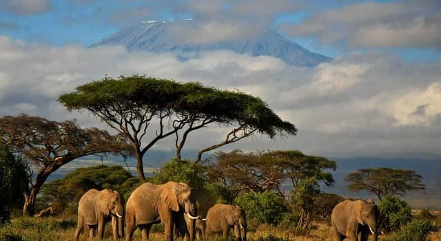 Géographie Question: Le parc national du Kilimandjaro se trouve dans quel pays ?