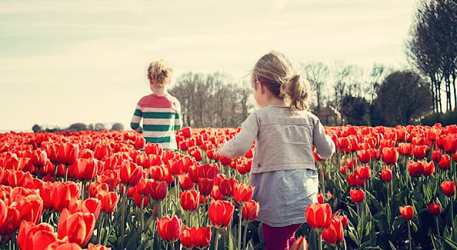 Cultuur Trivia Vraag: Waarop zeggen Nederlanders "Morgen mooi weer" als reactie?