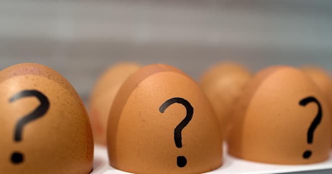 natura Pytanie-Ciekawostka: Który ptak jest ssakiem?