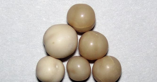Nature Trivia Question: What are cave pearls?