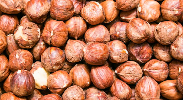 Geography Trivia Question: What are cobnuts also known as?