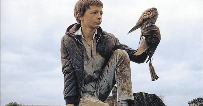 Culture Trivia Question: What was the original title of the book that formed the basis for the film "Kes"?
