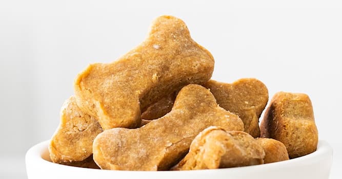 Society Trivia Question: What was the profession of the person who invented dog biscuits?
