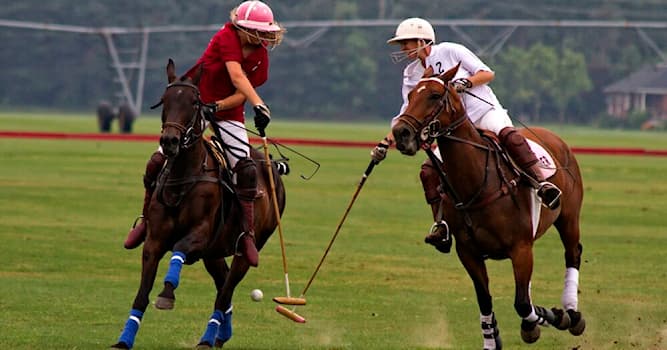 Sport Trivia Question: Where is the origin of the sport of Polo?