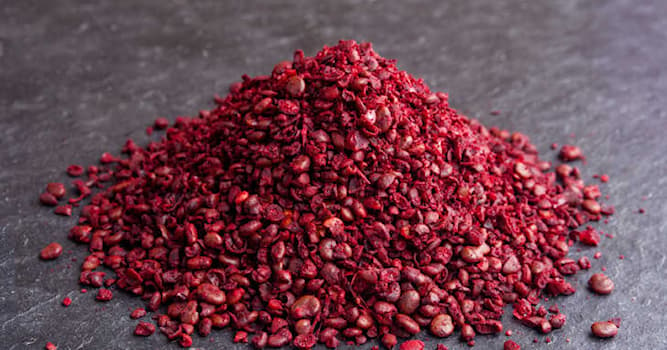 Culture Trivia Question: Which cuisine is sumac typical of?