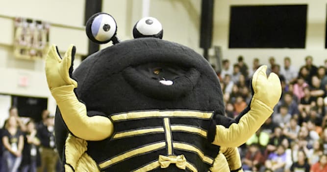 Culture Trivia Question: Which pair of US high schools both have the sand crab as mascot?