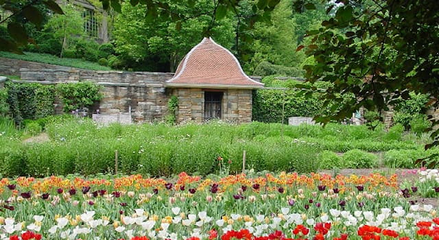 Culture Trivia Question: Who composed the concerto known as "Dumbarton Oaks"?