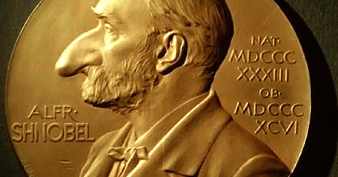 Maatschappij Trivia Vraag: Waarvoor wordt de Ig Nobelprijs toegekend?