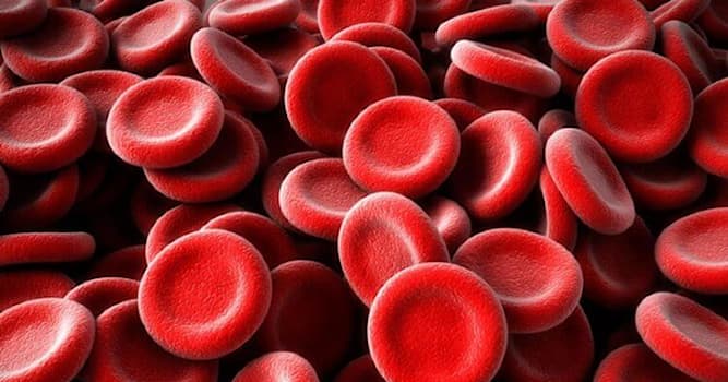 Сiencia Pregunta Trivia: ¿Cuáles de los siguientes son componentes de la sangre?