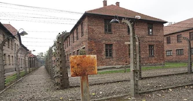 Histoire Question: Qu'est-ce qu'Auschwitz ?