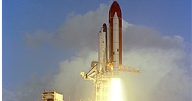 Geschiedenis Trivia Vraag: Welk dier was het eerste dat de ruimte in werd gestuurd?