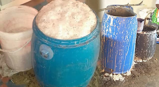 Cultura Pregunta Trivia: ¿De qué país africano es tradicional la cerveza Umqombothi?