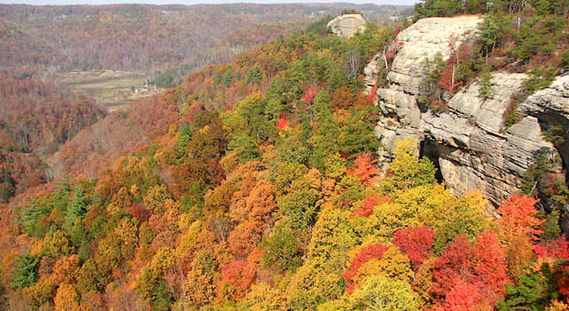 Coğrafya Trivia Sorusu: Kentucky hangi ülkenin eyaletidir?