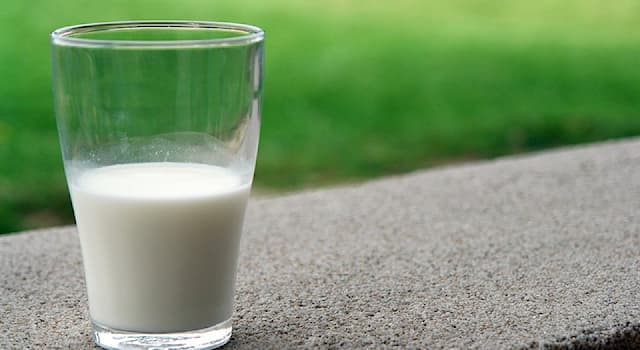Сiencia Pregunta Trivia: ¿Qué carbohidrato también se llama "azúcar de la leche"?