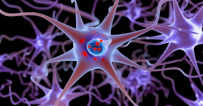 Bilim Trivia Sorusu: Parkinson hastalığı nedir?