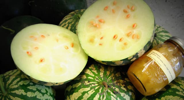 Nature Trivia Question: Which continent is the citron melon native to?