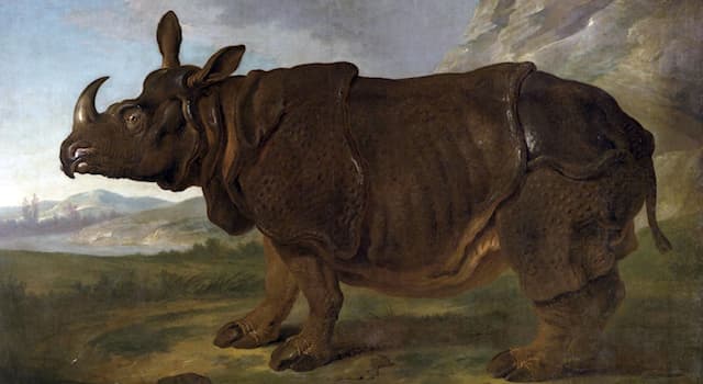 Culture Question: Comment s’appelle le rhinocéros peint par Jean-Baptiste Oudry en 1749 ?