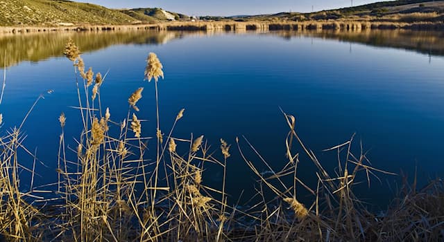 Naturaleza Pregunta Trivia: ¿Cuál de las siguientes afirmaciones sobre el Mar de Ontígola es cierta?