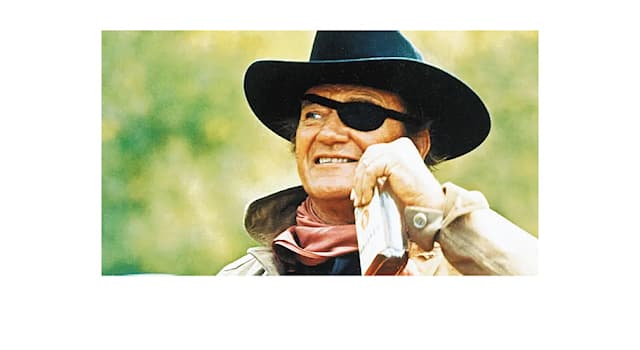 Movies & TV Trivia Question: John Wayne wore an eye patch in which of these films?