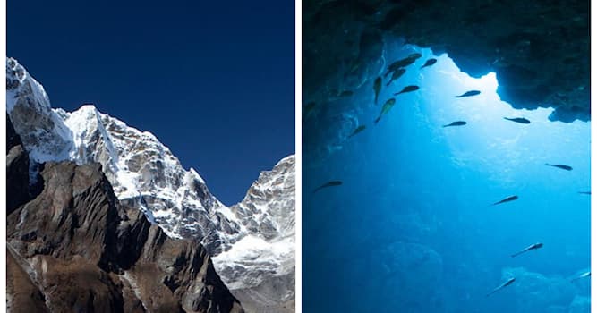 Nature Question: Quel animal vit au sommet de l'Himalaya ou dans les profondeurs abyssales ?