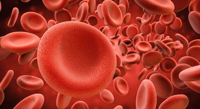 Scienza Domande: Come si definisce una carenza di globuli rossi?