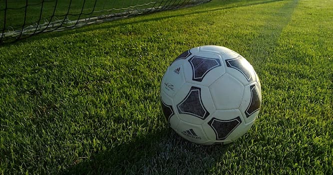 Sport Question: Dans quel sport listed ci-dessous maîtrise-t-on le ballon avec art ?