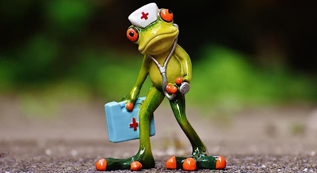 Science Question: De quelle partie du corps le stomatite est-elle une maladie ?