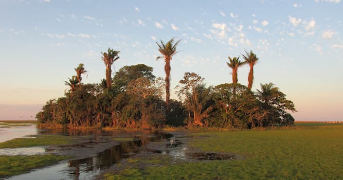 Geografía Pregunta Trivia: ¿Dónde se ubica la Llanura Beniana o Valle de Mojos?
