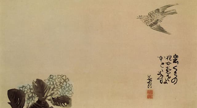 Cultura Domande: Come si chiama un tipo di poesia in forma abbreviata originaria del Giappone?