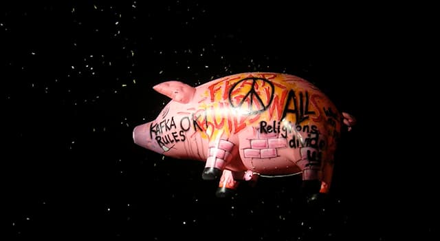 Cultura Domande: Di chi o di cosa parla la canzone dei Pink Floyd "Pigs"?