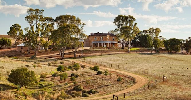 Films & TV Trivia Vraag: Op welke veeboerderij speelt de Australische serie McLeod's Daughters zich af?