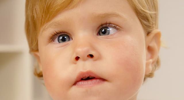 Bilim Trivia Sorusu: Oftalmoloji hangi alanı inceler?