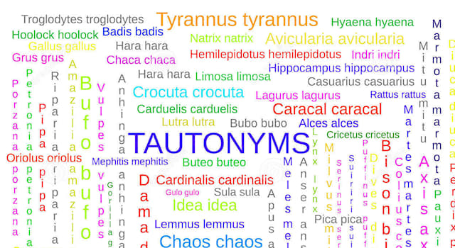 What are tautonyms? | Trivia Questions | QuizzClub