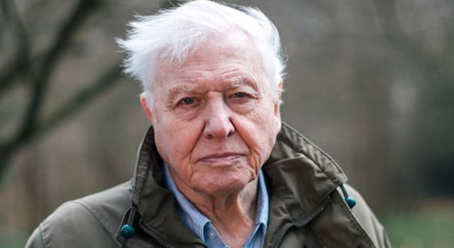 Wetenschap Trivia Vraag: Wat is Sir David Attenborough?