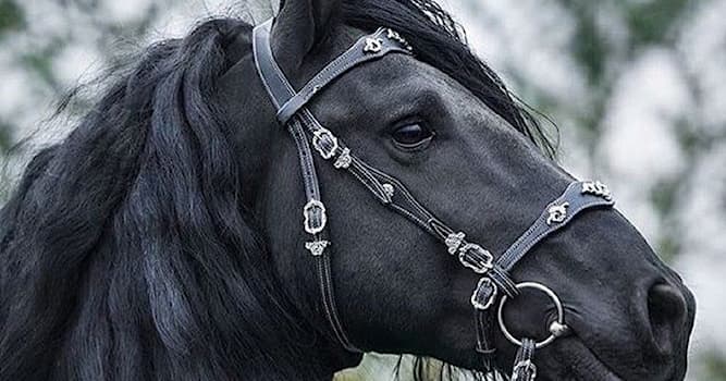 History Trivia Question: What does the 'Trojan Horse' represent?