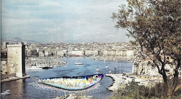 Société Question: D'où vient l'expression "c'est comme la sardine qui a bouché le port de Marseille" ?