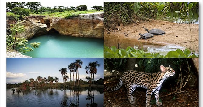 Geografía Pregunta Trivia: ¿En qué país está ubicado el Parque Nacional Aguaro-Guariquito?