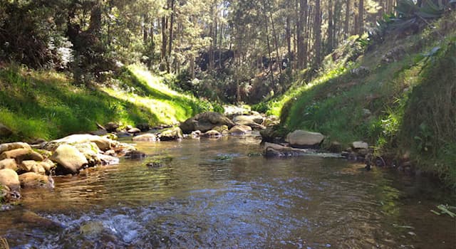Naturaleza Pregunta Trivia: ¿En qué país se encuentra el parque nacional de Macaya?