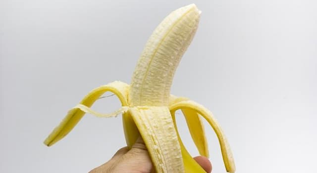 Cultura Pregunta Trivia: ¿Qué nombre reciben las hebras blancas que se encuentran al pelar un plátano?