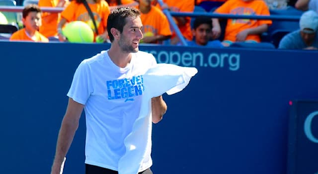 Sport Question: Dans quel sport le Croate Marin Čilić s'est-il illustré ?