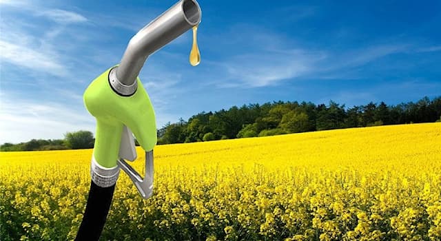 nauka Pytanie-Ciekawostka: Biodiesel jest chemicznie traktowany czym?