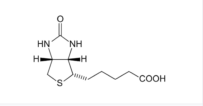 nauka Pytanie-Ciekawostka: Biotyna to inaczej?