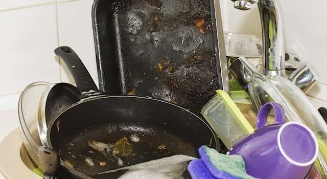 Science Question: Dans la cuisine quel est l'objet qui a le plus de bactéries ?