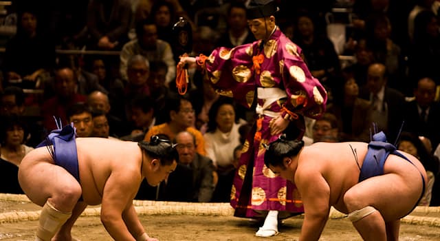 Deporte Pregunta Trivia: ¿Cómo se llama un juez de sumo?