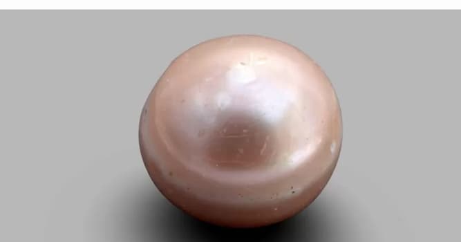 Natura Domande: Quanti anni ha la perla più antica?