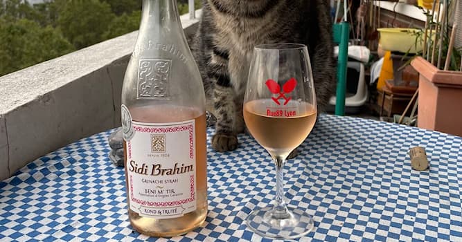 Culture Question: Quel est le pays d’origine du vin sidi Brahim ?
