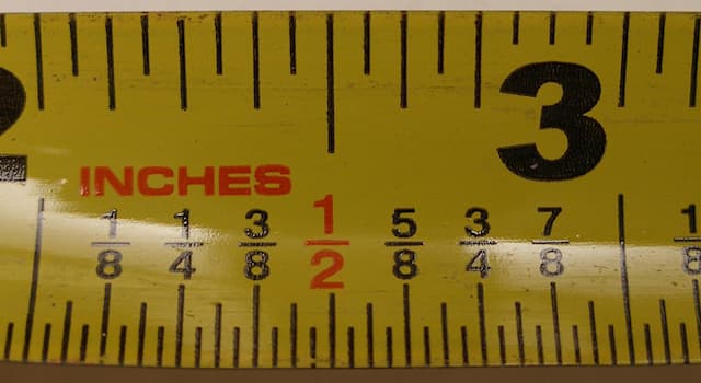 Наука Запитання-цікавинка: Що таке "цаль"?